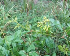 pg模拟器-复仇者联盟4国语迅雷下载